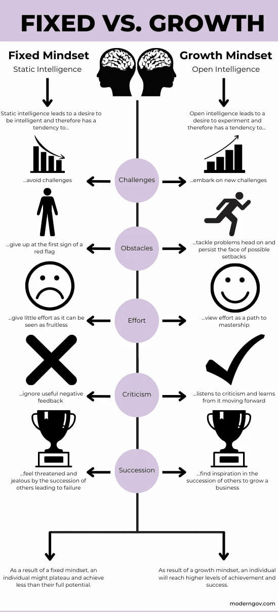 Cultivating a Growth Mindset: Strategies for Professional Development